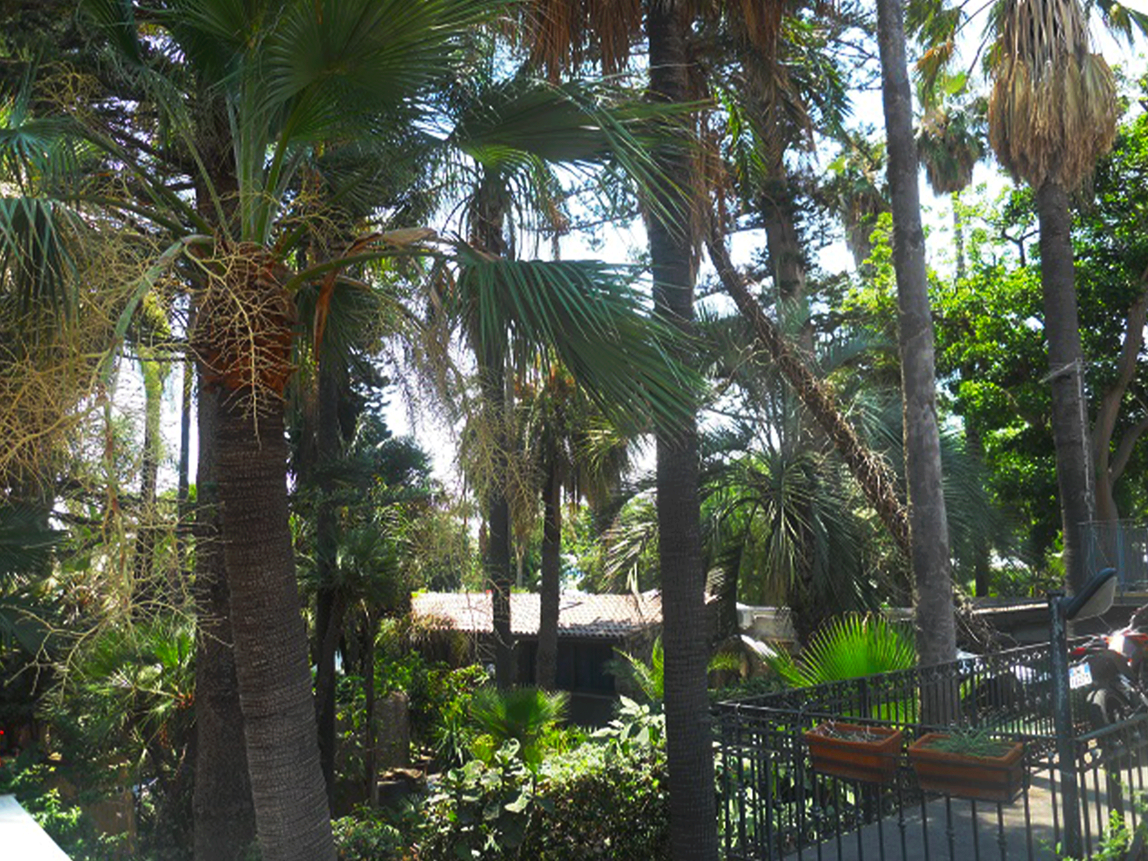 giardinobotanico1