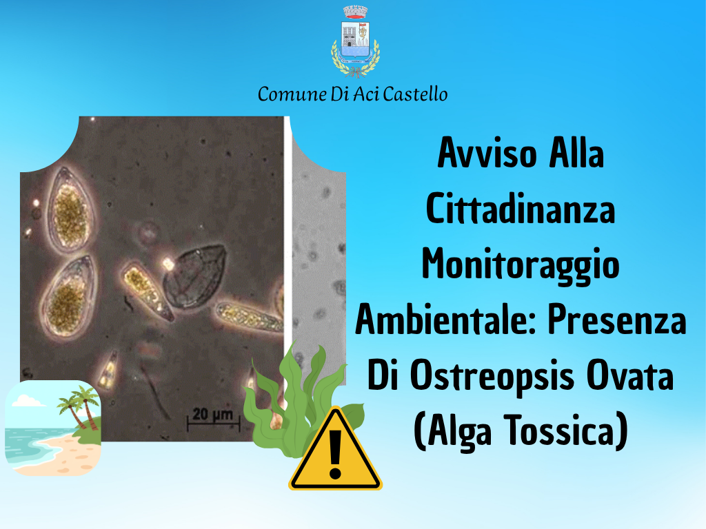 Avviso Alla Cittadinanza Monitoraggio Ambientale Presenza Di Ostreopsis Ovata (Alga Tossica)